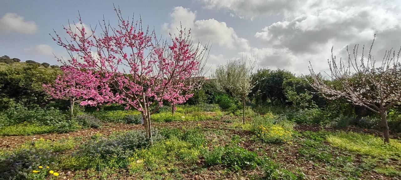 Casale Imperatore Marina di Ragusa Zewnętrze zdjęcie